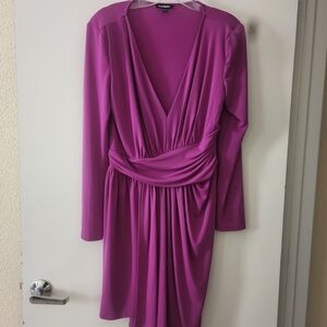 Express Long Sleeve Magenta Dress